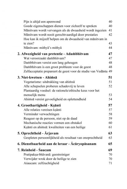 De Waarde van Waarden - Swami Dayananda - Afbeelding 3